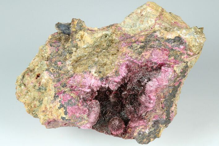 Fibrous, Magenta Erythrite Crystal Cluster - Morocco #184284